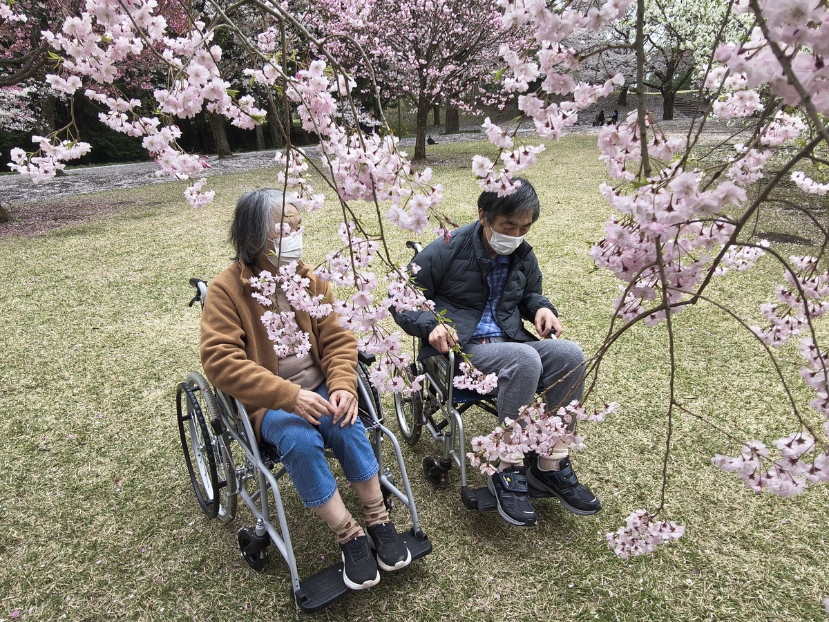 IMG_20260406_152109391_HDR