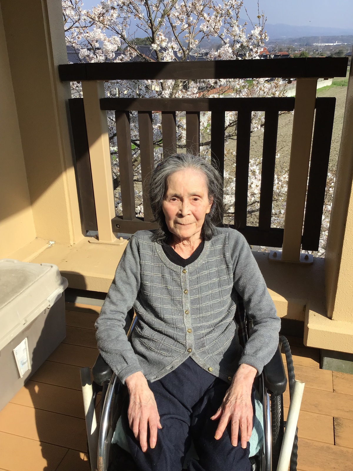 IMG_1558 - コピー